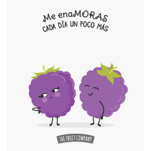 Ambientador Mikado Moras TFC