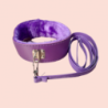 Collar y Correa  Basic Morado