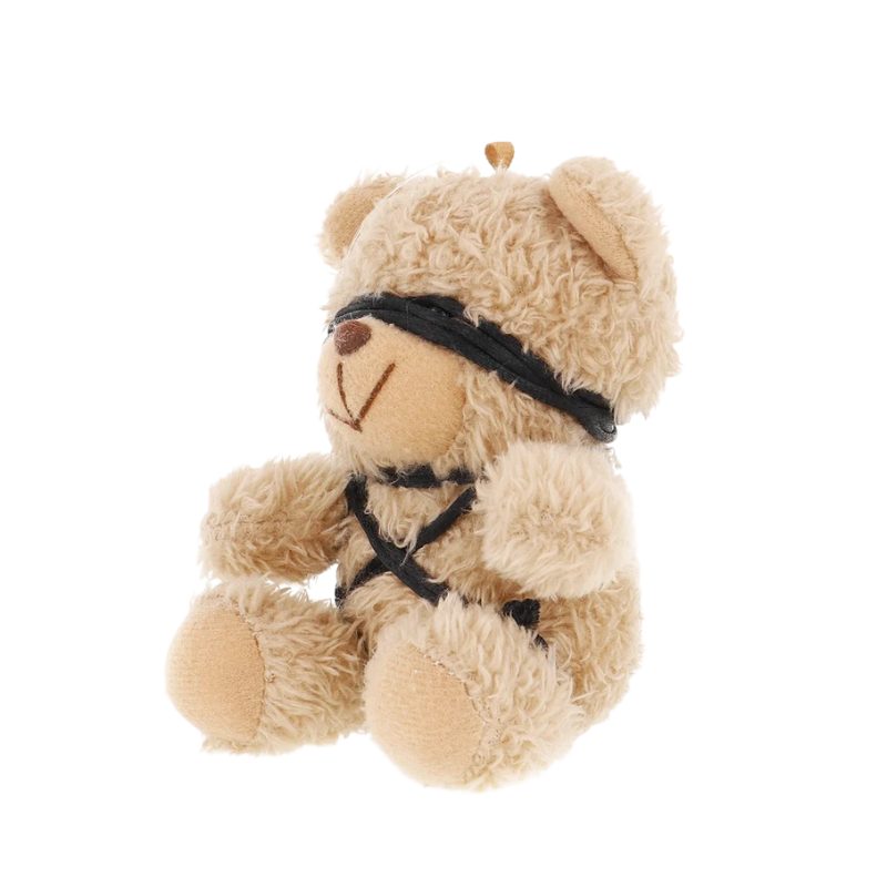 Osito Peluche BDSM Winnie