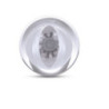 Masturbador Masculino Recargable Roto Bator Vagina Pipedream Extreme